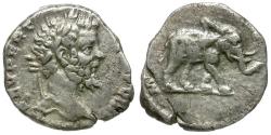 Ancient Coins - Septimius Severus (AD 193-211) AR Denarius / Elephant
