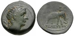 Ancient Coins - Seleukid Kings. Seleukos II Kallinikos (246-225 BC) Æ19 / Elephant