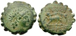 Ancient Coins - Seleukid Kings. Antiochos VI Dionysos (144-142 BC) Æ17 Serrate / Panther