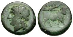 Ancient Coins - Campania. Neapolis Æ19 / Man-headed Bull