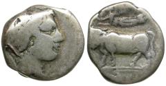 Ancient Coins - Campania. Neapolis AR Didrachm / Man-headed Bull