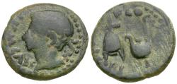 Ancient Coins - Augustus (27 BC-AD 14). Spain. Colonia Patricia Æ20 / Apex and Simpulum