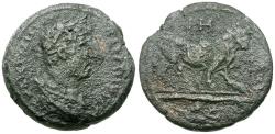 Ancient Coins - Hadrian (AD 117-138). Egypt. Alexandria Æ Diobol / Bull