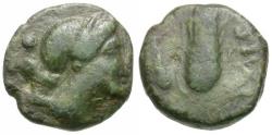 Ancient Coins - Lucania. Paestum Æ12 / Grain