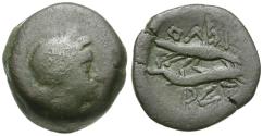 Ancient Coins - Sarmatia. Olbia Æ20 / Eagle on Dolphin