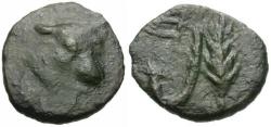 Ancient Coins - Tauric Chersonesos. Pantikapaion Æ12 / Plough