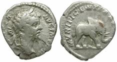 Ancient Coins - Septimius Severus (AD 193-211) AR Denarius / Elephant