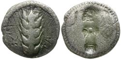 Ancient Coins - Lucania. Metapontum AR Diobol / Bull Incuse