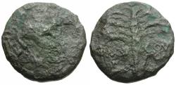 Ancient Coins - Domitian (AD 81-96). Samaria. Neapolis Æ20 / Palm