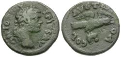 Ancient Coins - Caracalla (AD 211-217). Troas. Alexandria Æ22 / Eagle