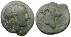 Ancient Coins - Aeolis. Aegae Æ18 / Goat's Head