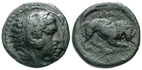 Ancient Coins - aVF/gF Kings of Macedon Perdikkas III AE16 / Lion