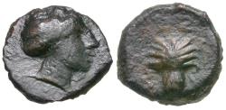 Ancient Coins - Siculo-Punic Æ12 / Palm Tree
