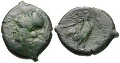 Ancient Coins - Campania. Cales &#198;23 / Rooster