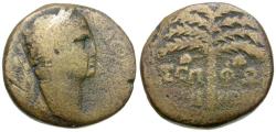 Ancient Coins - Trajan (AD 98-117). Judaea. Galilee. Sepphoris (Diocesarea) Æ22 / Palm Tree