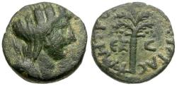 Ancient Coins - Phoenicia. Tyre. Pseudo-autonomous Æ14 / Palm Tree