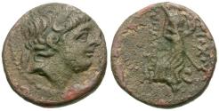 Ancient Coins - Seleukid Kings. Antiochos IX Eusebes Kyzikenos (116-95 BC) Æ18 / Athena