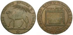 World Coins - Great Britain. Somersetshire. Bath. Mary Lambe & Son Copper Halfpenny / Camel