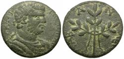 Ancient Coins - Caracalla (AD 198-217). Caria. Alabanda Æ25 / Laurel Branch