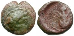 Ancient Coins - Kyrenaica. Kyrene Æ15 / Silphium Plant