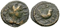 Ancient Coins - Pisidia. Antioch. Pseudo-autonomous Æ13 / Rooster