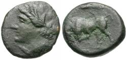 Ancient Coins - Sicily. Syracuse. Hieron II (275-215 BC) Æ15 / Bull