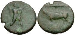 Ancient Coins - Lucania. Poseidonia Æ23 / Bull