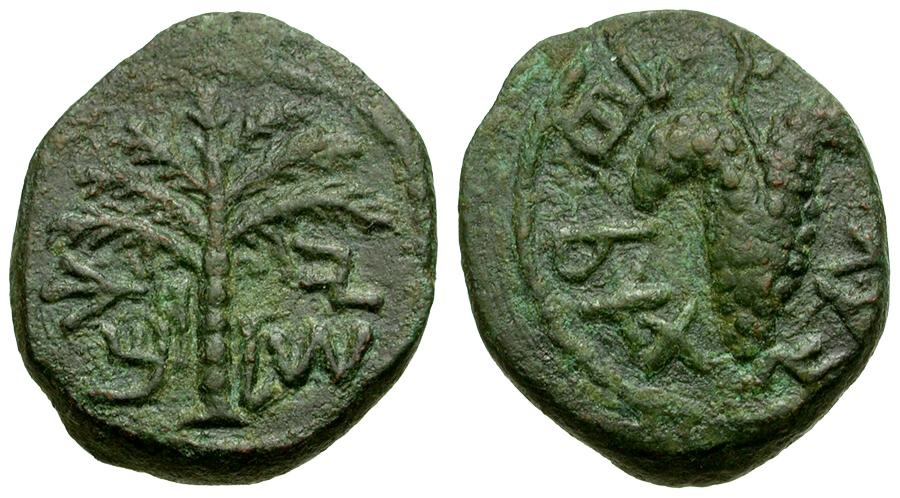 Judaea. Bar Kochba Revolt Æ19 / Grapes / Palm Tree | Greek Coins