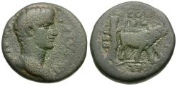 Ancient Coins - Divus Augustus (Died AD 14). Phoenicia. Berytus Æ23 / Priest