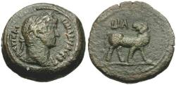 Ancient Coins - Hadrian (AD 117-138). Egypt. Alexandria Æ Obol / Panther