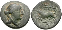 Ancient Coins - Phoenicia. Arados Æ20 / Bull