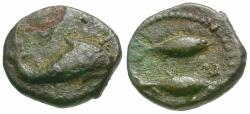 Ancient Coins - Spain. Iberia. Gadir (Gades) Æ10 / Dolphin and Two Tuna