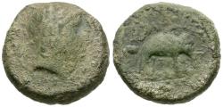 Ancient Coins - Seleukid Kings. Antiochos III the Great (222-186 BC) Æ21 / Elephant