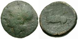 Ancient Coins - Bruttium. Lokroi Epizephyrii. Time of Pyrrhos of Epeiros (281-272 BC) Æ24 / Pegasos