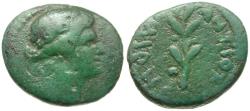 Ancient Coins - Seleucis and Pieria. Antioch. Pseudo-autonomous Æ16 / Laurel Branch