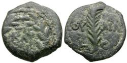 Ancient Coins - Judaea. Roman Procutrators. Valerius Gratus (AD 15-26) Æ Prutah