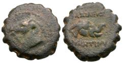 Ancient Coins - Seleukid Kings. Demetrios I Soter (162-150 BC) Æ17 Serrate / Elephant