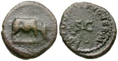 Ancient Coins - Domitian (AD 81-96) &#198; Quadrans / Rhinoceros
