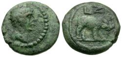 Ancient Coins - Hadrian (AD 117-138). Egypt. Alexandria AE Dichalkon / Elephant