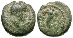 Ancient Coins - Judaea. Agrippa II (AD 49-95) with Domitian Æ11 / Cornucopia