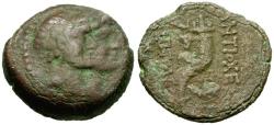Ancient Coins - Phoenicia. Akko-Ptolemais Æ15 / Cornucopia