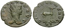 Ancient Coins - Gallienus, sole reign (AD 260-268) Æ Antoninianus / Antelope