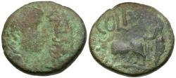 Ancient Coins - Augustus (27 BC-AD 14). Phoenicia. Berytus Æ23 / Priest Ploughing