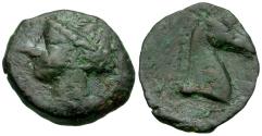 Ancient Coins - Zeugitania. Carthage Æ18 / Horse's Head