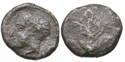 Ancient Coins - Kyrenaica. Kyrene AR Hemidrachm / Silphium Plant