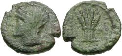 Ancient Coins - Sicily. Leontini Æ17 / Grain
