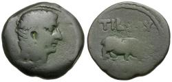 Ancient Coins - Tiberius (AD 14-37). Egypt. Alexandria Æ Obol / Hippopotamus
