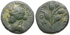 Ancient Coins - Seleucis and Pieria. Antiochia ad Orontem. Pseudo-autonomous &#198;14 / Branch