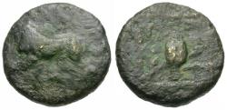 Ancient Coins - Thrace. Cherronesos. Kardia Æ12 / Barleycorn