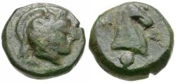 Ancient Coins - Thessaly. Pharsalos Æ12 / Horse's Head